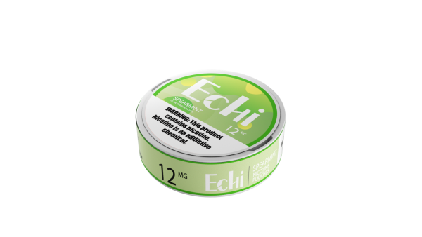 Echi Spearmint Nicotine Pouches - Image 3